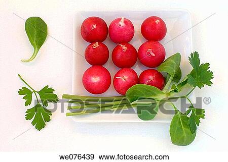 Radishes, lamb's lettuce and parsley View Large Photo Image Stock Photo - Radishes, lamb's lettuce and parsley. Fotosearch