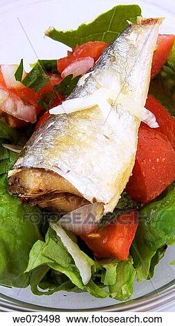 Salad with sardine View Large Photo Image Stock Photo - Salad with sardine. Fotosearch