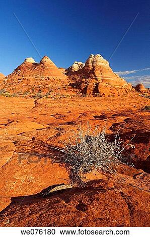 Sandstone Rock Formations at Paria Canyon-Vermilion Cliffs Wilderness Coyote Buttes North, Vermilion Cliffs, Colorado Plateau, Arizona, USA, America View Large Photo Image Stock Image - Sandstone Rock Formations at Paria Canyon-Vermilion Cliffs Wilderness Coyote Buttes North, Vermilion Cliffs, Colorado Plateau, Arizona, USA, America. Fotosearch