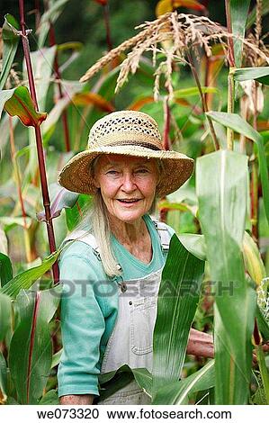 Senior woman with straw hat looking into camera standing in her corn field View Large Photo Image Stock Image - Senior woman with straw hat looking into camera standing in her corn field. Fotosearch