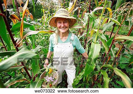 Senior woman with straw hat looking into camera standing in her corn field View Large Photo Image Stock Image - Senior woman with straw hat looking into camera standing in her corn field. Fotosearch