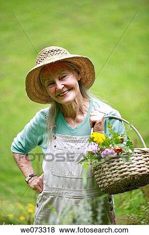 Senior woman with straw hat looking into camera with basket of flowers View Large Photo Image Stock Photo - Senior woman with straw hat looking into camera with basket of flowers. Fotosearch