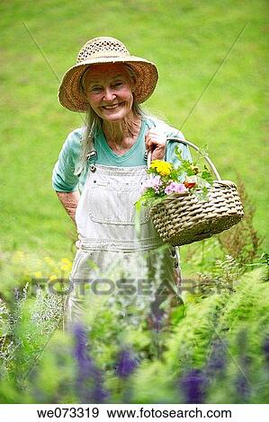 Senior woman with straw hat looking into camera with basket of flowers View Large Photo Image Stock Photo - Senior woman with straw hat looking into camera with basket of flowers. Fotosearch