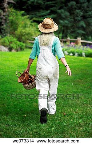 Senior woman with straw hat walking with baskets in hand from back View Large Photo Image Picture - Senior woman with straw hat walking with baskets in hand from back. Fotosearch