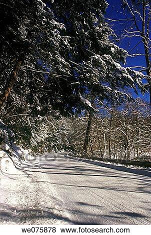 snow covered rural road View Large Photo Image Stock Photo - snow covered rural road. Fotosearch