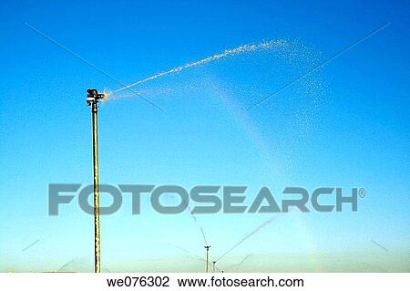 Spraying. Salillas, Huesca province, Aragon, Spain View Large Photo Image Stock Image - Spraying. Salillas, Huesca province, Aragon, Spain. Fotosearch