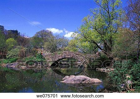 SPRING POND CENTRAL PARK MANHATTAN NEW YORK. USA View Large Photo Image Stock Image - SPRING POND CENTRAL PARK MANHATTAN NEW YORK. USA. Fotosearch