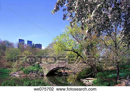 SPRING POND CENTRAL PARK MANHATTAN NEW YORK. USA View Large Photo Image Stock Image - SPRING POND CENTRAL PARK MANHATTAN NEW YORK. USA. Fotosearch