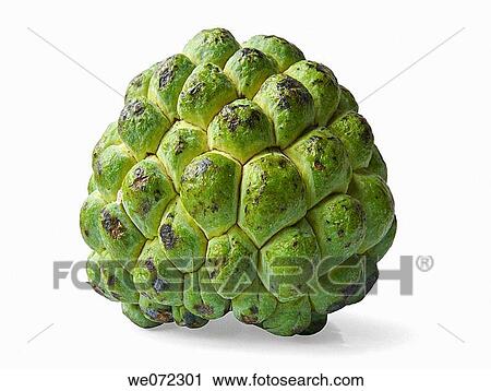 Stock Image - Sugar Apple. Custard apple. Annona squamosa.. Fotosearch