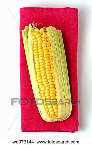Picture - Sweet corn. Fotosearch