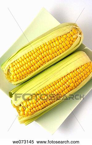 Sweet corn View Large Photo Image Stock Photography - Sweet corn. Fotosearch