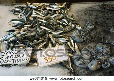 The fresh fish market, Rialto, Venice, Italy View Large Photo Image Stock Photo - The fresh fish market, Rialto, Venice, Italy. Fotosearch