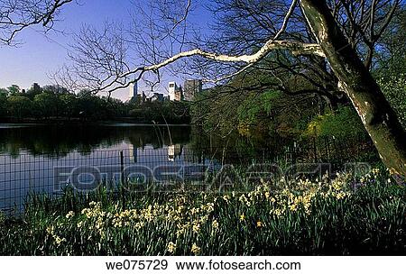 Stock Photo - THE LAKE CENTRAL PARK. MIDTOWN SKYLINE. MANHATTAN NEW YORK. USA. Fotosearch