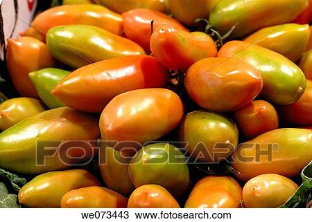 Tomatoes for sale at La Boqueria market. Barcelona, Catalonia, Spain View Large Photo Image Stock Image - Tomatoes for sale at La Boqueria market. Barcelona, Catalonia, Spain. Fotosearch