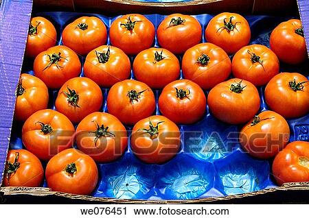 Tomatoes for sale at La Boqueria market, Barcelona. Catalonia, Spain View Large Photo Image Stock Image - Tomatoes for sale at La Boqueria market, Barcelona. Catalonia, Spain. Fotosearch