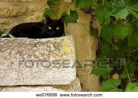 Town of Oppede-le-Vieux in Provence, France View Large Photo Image Stock Photo - Town of Oppede-le-Vieux in Provence, France. Fotosearch