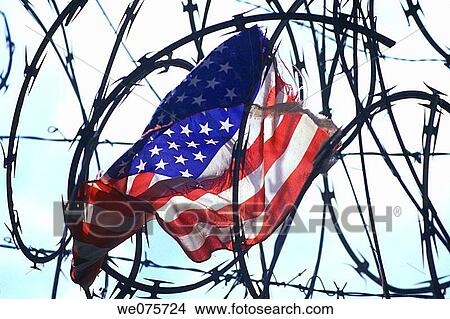 UNITED STATES FLAG. CAUGHT IN BARBED WIRE View Large Photo Image Picture - UNITED STATES FLAG. CAUGHT IN BARBED WIRE. Fotosearch