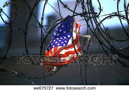 UNITED STATES FLAG. CAUGHT IN BARBED WIRE View Large Photo Image Stock Photo - UNITED STATES FLAG. CAUGHT IN BARBED WIRE. Fotosearch