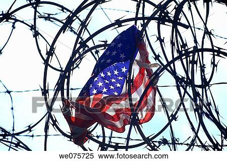 Stock Photography - UNITED STATES FLAG. CAUGHT IN BARBED WIRE. Fotosearch