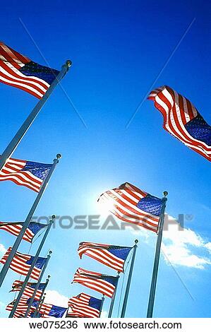UNITED STATES FLAGS View Large Photo Image Stock Photograph - UNITED STATES FLAGS. Fotosearch