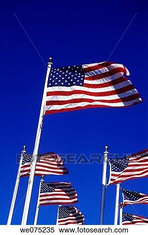 UNITED STATES FLAGS View Large Photo Image Stock Photography - UNITED STATES FLAGS. Fotosearch