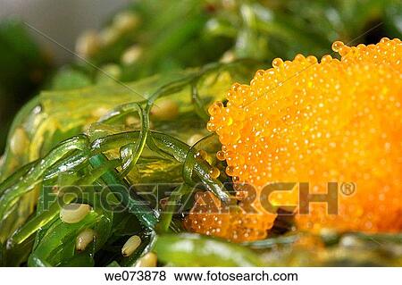 Wakame salad View Large Photo Image Stock Photo - Wakame salad. Fotosearch