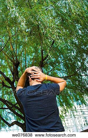 Young man, his hands on his head, facing a tree. View Large Photo Image Stock Photo - Young man, his hands on his head, facing a tree.. Fotosearch