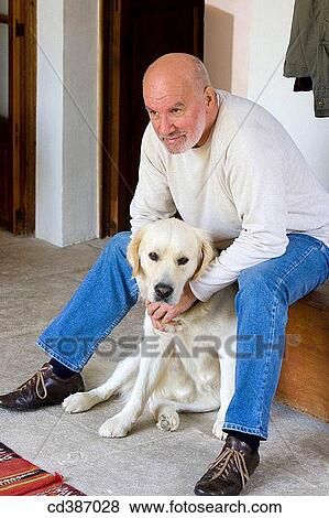 affection, at-home, animal, absorbed View Large Photo Image Stock Photo - affection, at-home, animal, absorbed. Fotosearch
