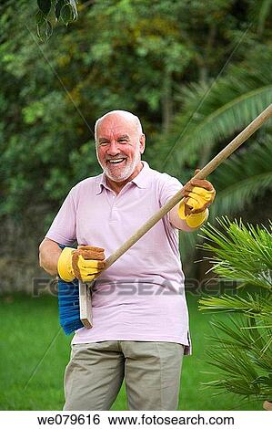 amusing, brush, beard, amusement View Large Photo Image Stock Photograph - amusing, brush, beard, amusement. Fotosearch