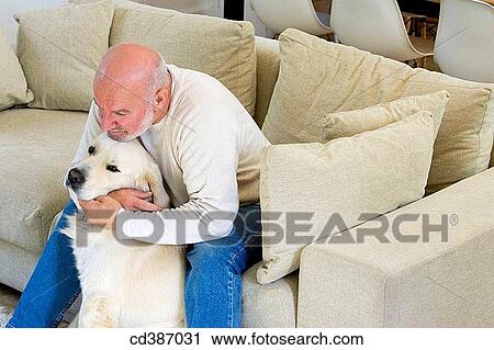 animal, beard, at-home, affection View Large Photo Image Stock Image - animal, beard, at-home, affection. Fotosearch