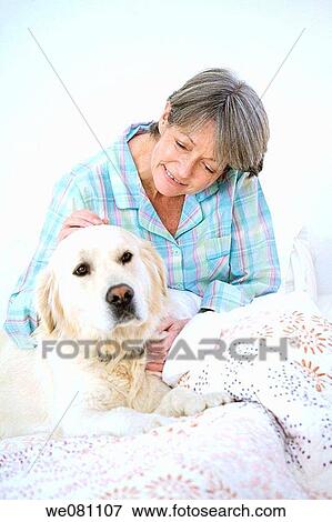 animal, bedroom, bed, at-home, affection View Large Photo Image Stock Photo - animal, bedroom, bed, at-home, affection. Fotosearch
