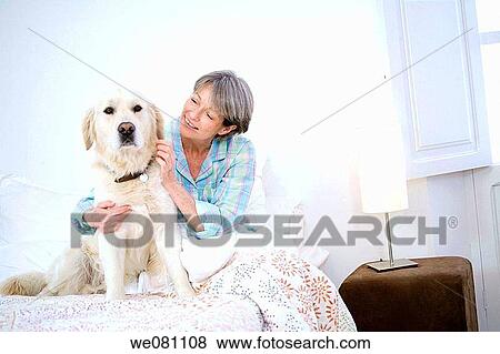 animal, bedroom, bed, at-home, affection View Large Photo Image Stock Photo - animal, bedroom, bed, at-home, affection. Fotosearch