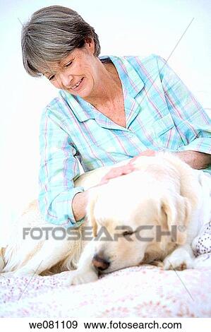 animal, bedroom, bed, at-home, affection View Large Photo Image Stock Photo - animal, bedroom, bed, at-home, affection. Fotosearch