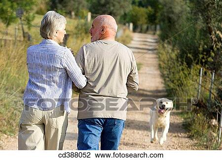 animal, bond, back view, affection View Large Photo Image Stock Image - animal, bond, back view, affection. Fotosearch