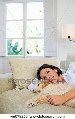 animal, calm, at-home, absorbed View Large Photo Image Stock Photograph - animal, calm, at-home, absorbed. Fotosearch