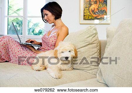 at-home, calm, animal View Large Photo Image Stock Image - at-home, calm, animal. Fotosearch
