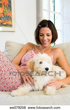 at-home, calm, animal View Large Photo Image Stock Photo - at-home, calm, animal. Fotosearch