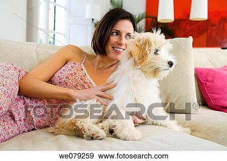 at-home, calm, animal View Large Photo Image Stock Photo - at-home, calm, animal. Fotosearch