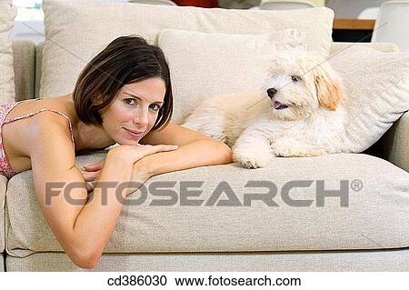 at-home, calm, brunette, animal View Large Photo Image Stock Image - at-home, calm, brunette, animal. Fotosearch
