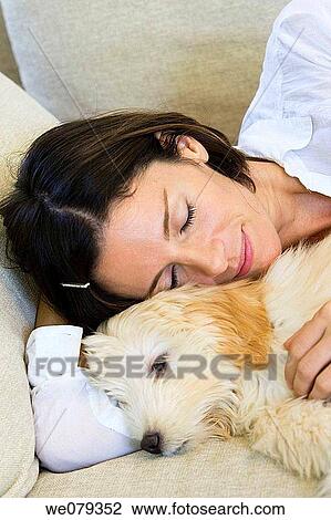 at-home, calm, brunette, animal View Large Photo Image Stock Image - at-home, calm, brunette, animal. Fotosearch
