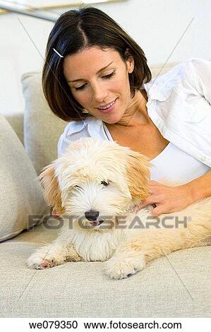at-home, caress, calm, brunette, animal View Large Photo Image Stock Image - at-home, caress, calm, brunette, animal. Fotosearch