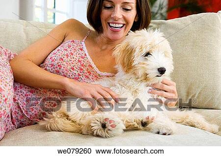 at-home, caressing, caress, calm, animal View Large Photo Image Stock Image - at-home, caressing, caress, calm, animal. Fotosearch
