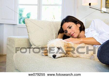 at-home, caressing, caress, calm, animal View Large Photo Image Stock Photography - at-home, caressing, caress, calm, animal. Fotosearch