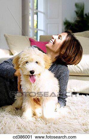 at-home, carpet, carefree, calm, animal View Large Photo Image Stock Image - at-home, carpet, carefree, calm, animal. Fotosearch