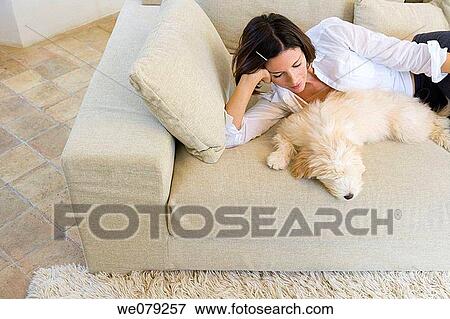 at-home, chilling out, calm, animal View Large Photo Image Stock Photo - at-home, chilling out, calm, animal. Fotosearch