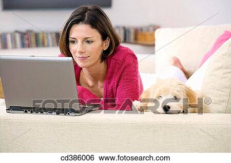 at-home, companion, animal View Large Photo Image Stock Photograph - at-home, companion, animal. Fotosearch