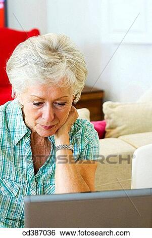 attention, attentive, at-home View Large Photo Image Stock Photograph - attention, attentive, at-home. Fotosearch