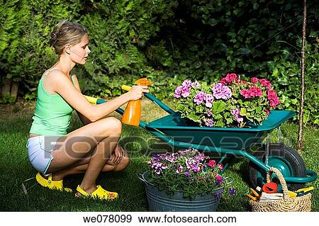 Stock Photo - barrow, bucket, contemporary. Fotosearch