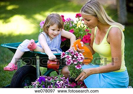 barrow, child, contemporary View Large Photo Image Stock Photo - barrow, child, contemporary. Fotosearch