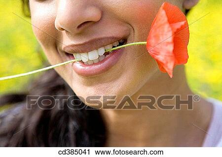 beauty, biting, bite, Asian View Large Photo Image Stock Image - beauty, biting, bite, Asian. Fotosearch